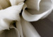 Large canvas print White Dahlia [Large Format] 150918 additionalThumb 3