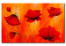 Canvas Art Print Poppies in reds 47218