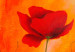 Canvas Art Print Poppies in reds 47218 additionalThumb 2
