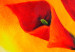 Canvas Callas in orange 48818 additionalThumb 3