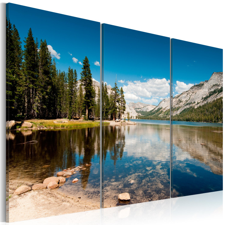 Canvas Mountains, trees and pure lake 58618 additionalImage 2