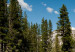 Canvas Mountains, trees and pure lake 58618 additionalThumb 4