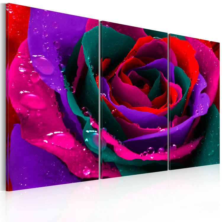 Canvas Print Rainbow-hued rose 58718 additionalImage 2