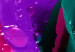 Canvas Print Rainbow-hued rose 58718 additionalThumb 5