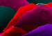 Canvas Print Rainbow-hued rose 58718 additionalThumb 4