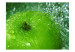 Photo Wallpaper Refreshing Flavours - Green Apple with Stem Dipping into Water 59818 additionalThumb 1