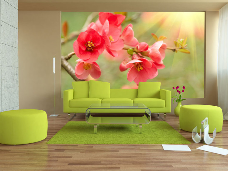 Photo Wallpaper Floral Motif - Azalea Flowers in Water Reflection and Sunbeams 60718