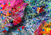Decorative Pinboard Colourful Whirl [Cork Map] 92618 additionalThumb 5