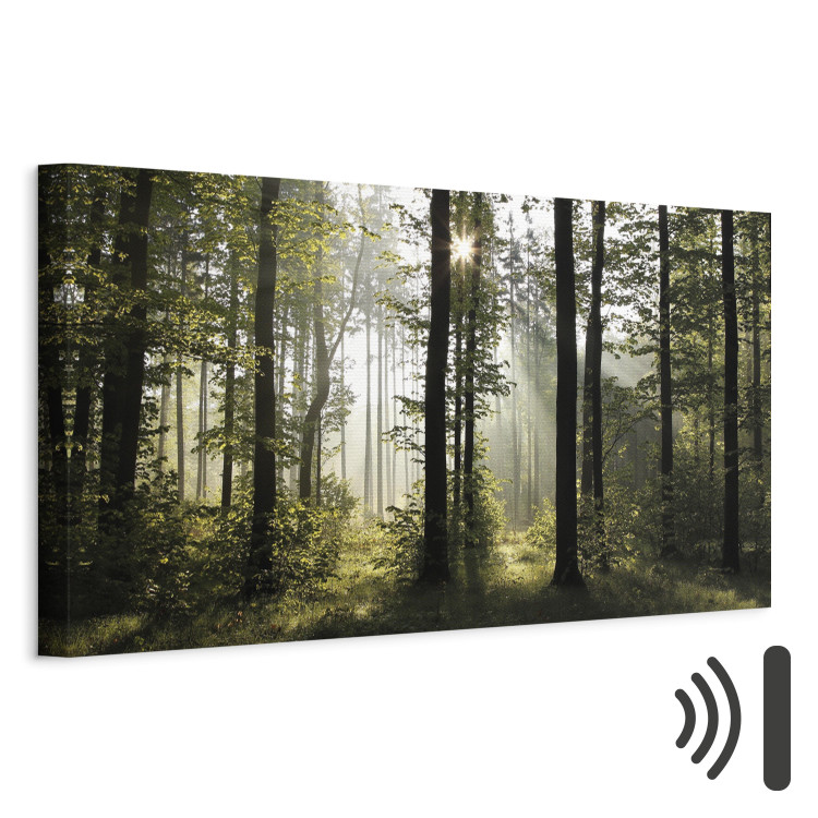 Canvas Art Print Forest in Daylight (1-part) - Landscape of Green Natural Trees 97518 additionalImage 8