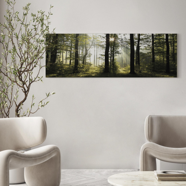 Canvas Art Print Forest in Daylight (1-part) - Landscape of Green Natural Trees 97518 additionalImage 9