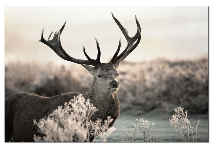 Canvas Art Print Mighty Horns (1-piece) - Majestic Deer surrounded by Nature 106128
