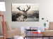 Canvas Art Print Mighty Horns (1-piece) - Majestic Deer surrounded by Nature 106128 additionalThumb 3
