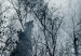 Photo Wallpaper Mountain Predator (Black and White) 108228 additionalThumb 4