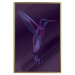 Wall Poster Purple Hummingbird - dark abstraction with bird and English text 117228 additionalThumb 16