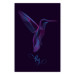 Wall Poster Purple Hummingbird - dark abstraction with bird and English text 117228
