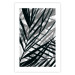Wall Poster In the Shade of Leaves - black and white leaves casting shadows on a white wall 122628 additionalThumb 18