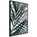 Wall Poster In the Shade of Leaves - black and white leaves casting shadows on a white wall 122628 additionalThumb 10