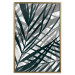 Wall Poster In the Shade of Leaves - black and white leaves casting shadows on a white wall 122628 additionalThumb 14