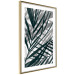 Wall Poster In the Shade of Leaves - black and white leaves casting shadows on a white wall 122628 additionalThumb 6