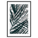 Wall Poster In the Shade of Leaves - black and white leaves casting shadows on a white wall 122628 additionalThumb 16