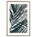 Wall Poster In the Shade of Leaves - black and white leaves casting shadows on a white wall 122628 additionalThumb 17