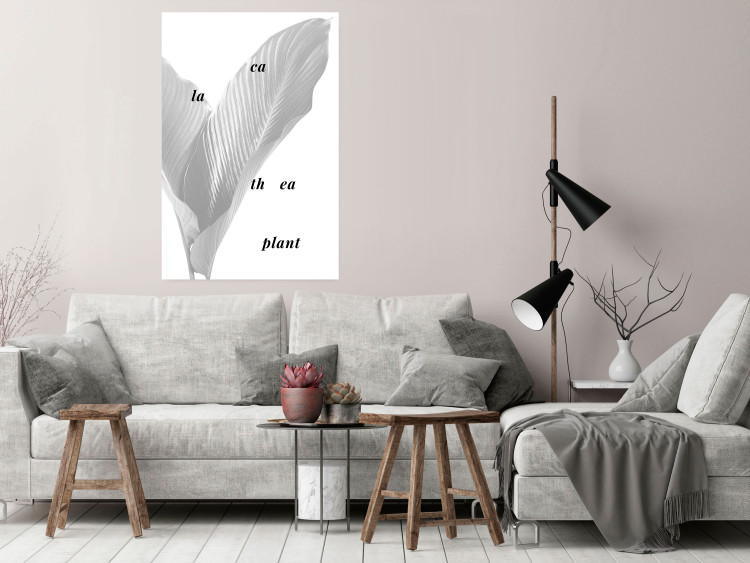 Poster Calathea Plant - black English text on a background of white plants 123128 additionalImage 17