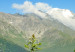 Canvas Spring in the Alps (3 Parts) 126228 additionalThumb 5