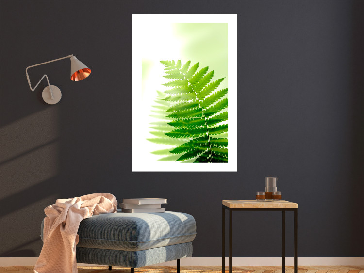 Wall Poster Fern - natural plant with fern leaves on a green glow background 126828 additionalImage 3