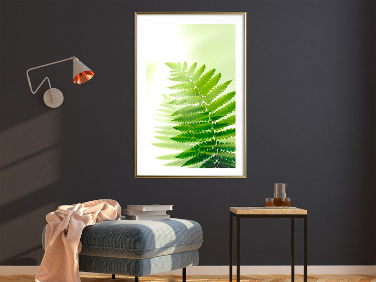 Wall Poster Fern - natural plant with fern leaves on a green glow background 126828 additionalImage 13