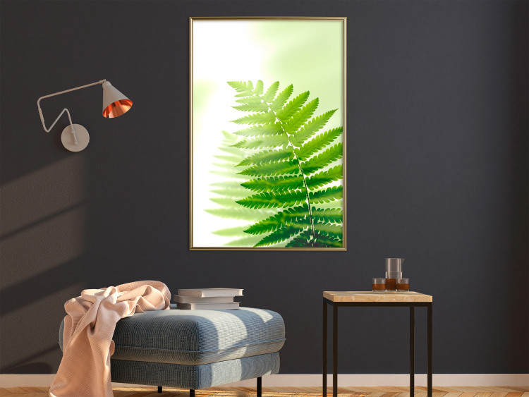 Wall Poster Fern - natural plant with fern leaves on a green glow background 126828 additionalImage 5