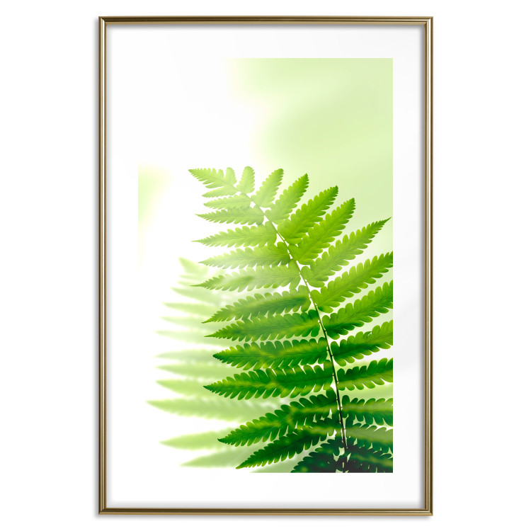 Wall Poster Fern - natural plant with fern leaves on a green glow background 126828 additionalImage 16