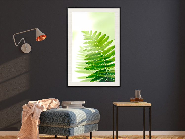 Wall Poster Fern - natural plant with fern leaves on a green glow background 126828 additionalImage 24