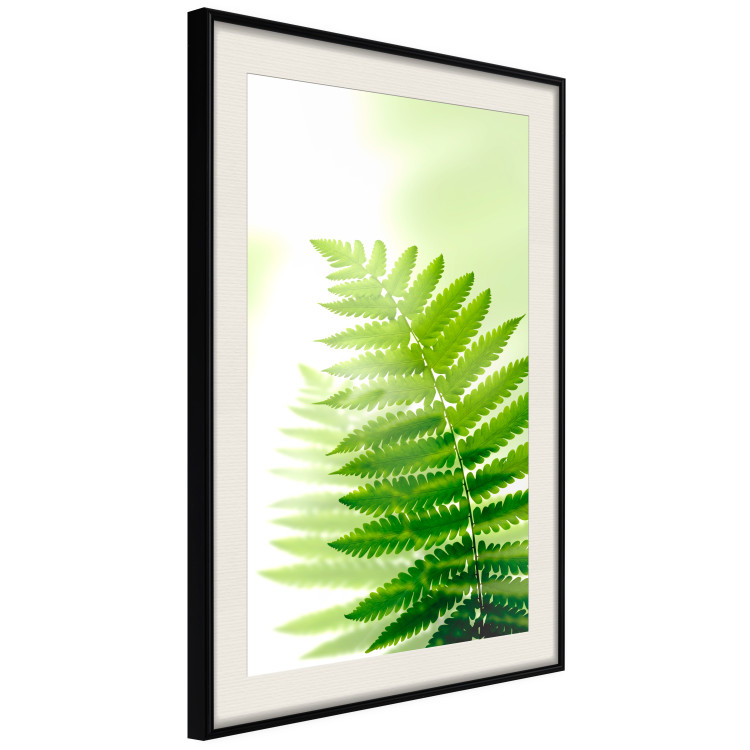 Wall Poster Fern - natural plant with fern leaves on a green glow background 126828 additionalImage 2