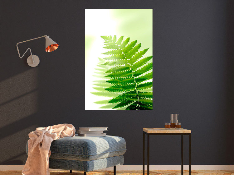 Wall Poster Fern - natural plant with fern leaves on a green glow background 126828 additionalImage 4