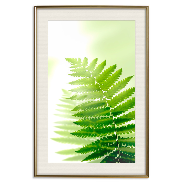 Wall Poster Fern - natural plant with fern leaves on a green glow background 126828 additionalImage 20