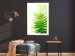 Wall Poster Fern - natural plant with fern leaves on a green glow background 126828 additionalThumb 13