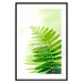 Wall Poster Fern - natural plant with fern leaves on a green glow background 126828 additionalThumb 17
