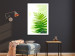 Wall Poster Fern - natural plant with fern leaves on a green glow background 126828 additionalThumb 23