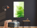Wall Poster Fern - natural plant with fern leaves on a green glow background 126828 additionalThumb 6