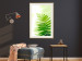 Wall Poster Fern - natural plant with fern leaves on a green glow background 126828 additionalThumb 22
