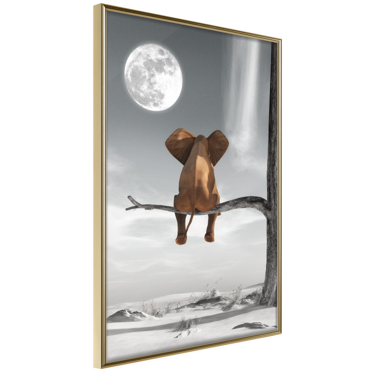 Poster Elephant and Moon - fantasy with African animal against desert backdrop 128828 additionalImage 12