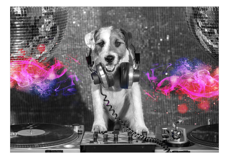 Wall Mural Dog DJ - a playful abstraction in shades of grey with a music motif 129028 additionalImage 1