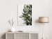 Canvas Mistletoe leaves - winter, botanical photography on white background 130728 additionalThumb 3