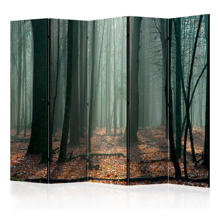Room Separator Witches' Forest II (5-piece) - dark landscape among forest trees 134128