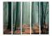 Room Separator Witches' Forest II (5-piece) - dark landscape among forest trees 134128 additionalThumb 3
