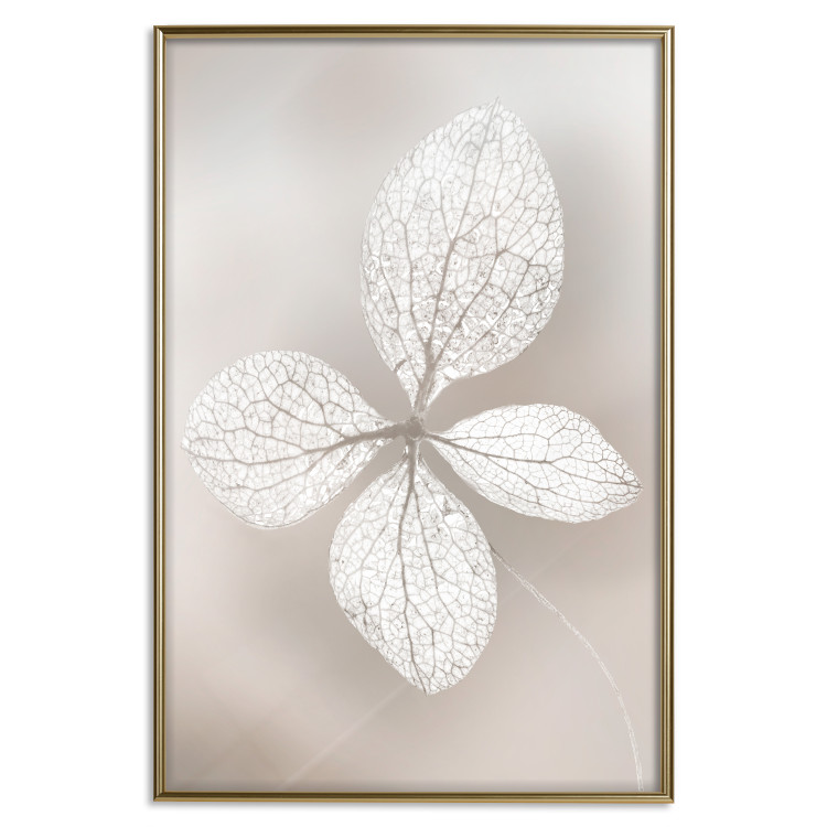 Wall Poster Lacy Beauty - bright composition with a plant with translucent leaves 135828 additionalImage 6