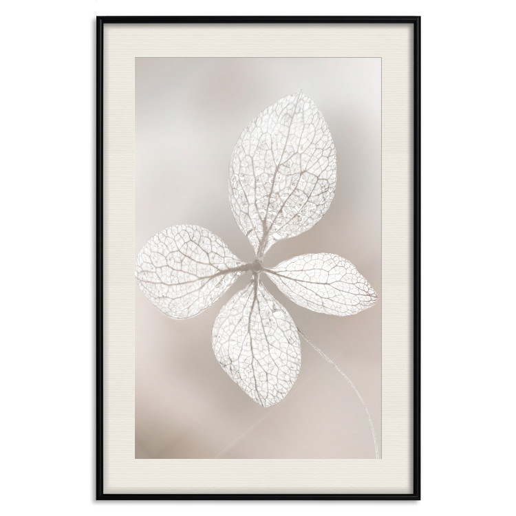 Wall Poster Lacy Beauty - bright composition with a plant with translucent leaves 135828 additionalImage 2