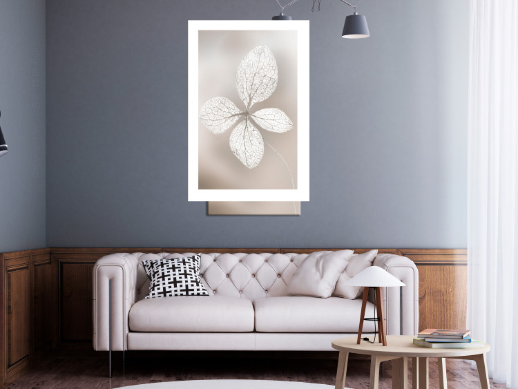 Wall Poster Lacy Beauty - bright composition with a plant with translucent leaves 135828 additionalImage 20