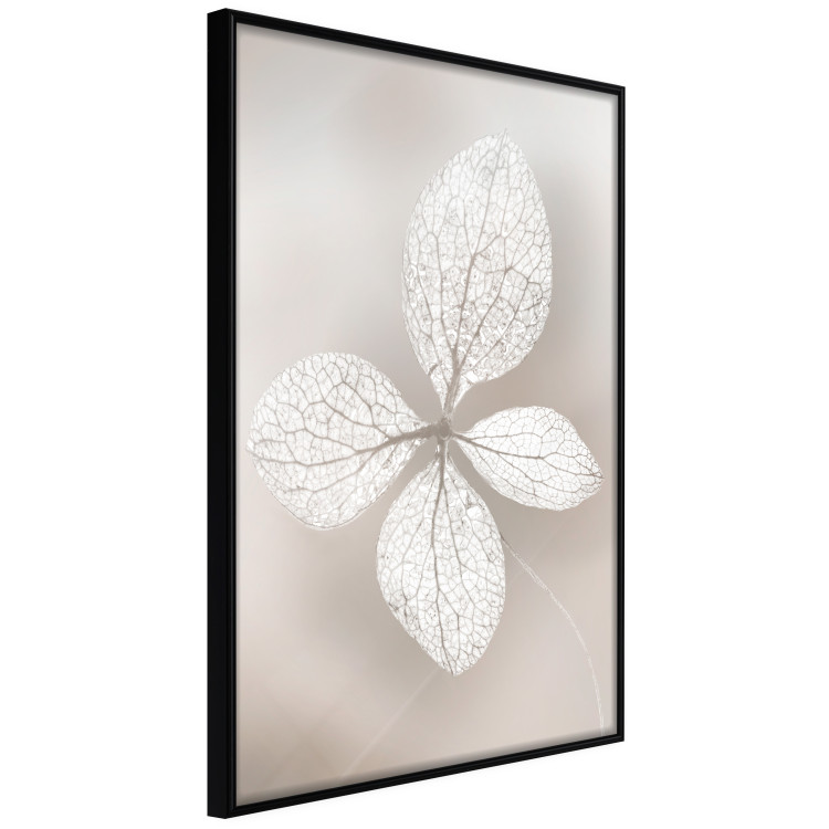 Wall Poster Lacy Beauty - bright composition with a plant with translucent leaves 135828 additionalImage 14