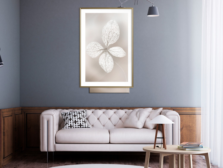 Wall Poster Lacy Beauty - bright composition with a plant with translucent leaves 135828 additionalImage 9